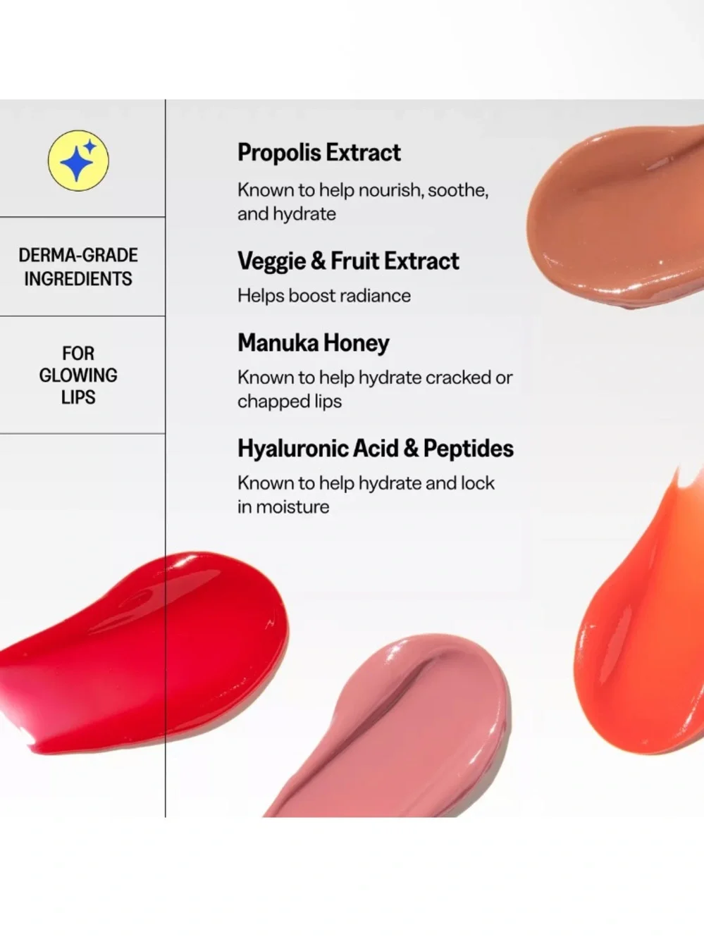 NWT Propolis Jelly Lipcerin - Caramel Pudding (Brown)